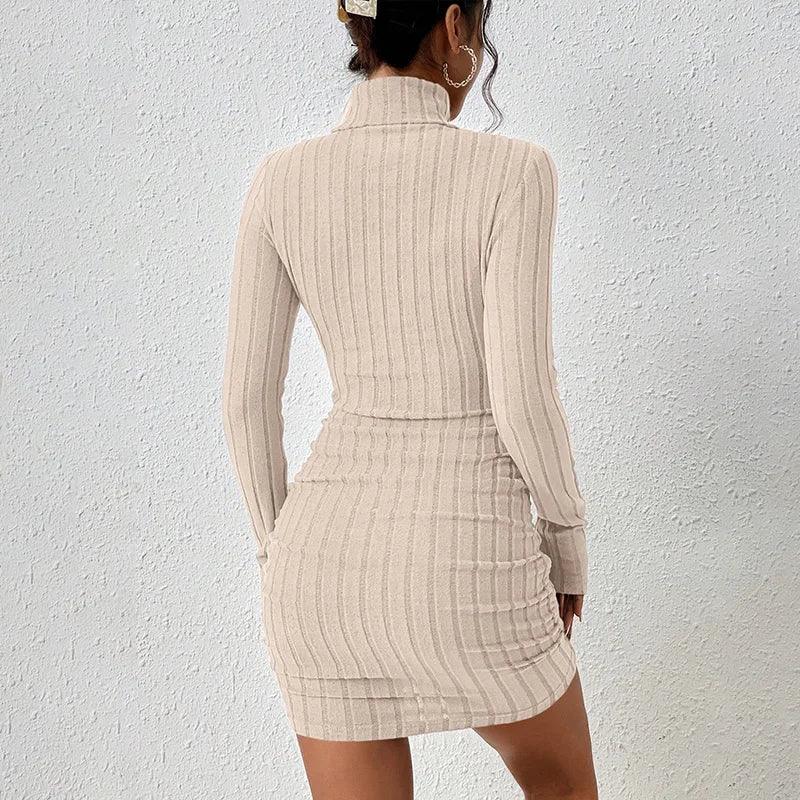 Short Turtleneck Dress in Fashion Knitwear